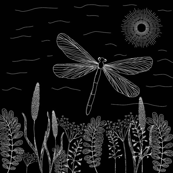 Introducing Denton.Social